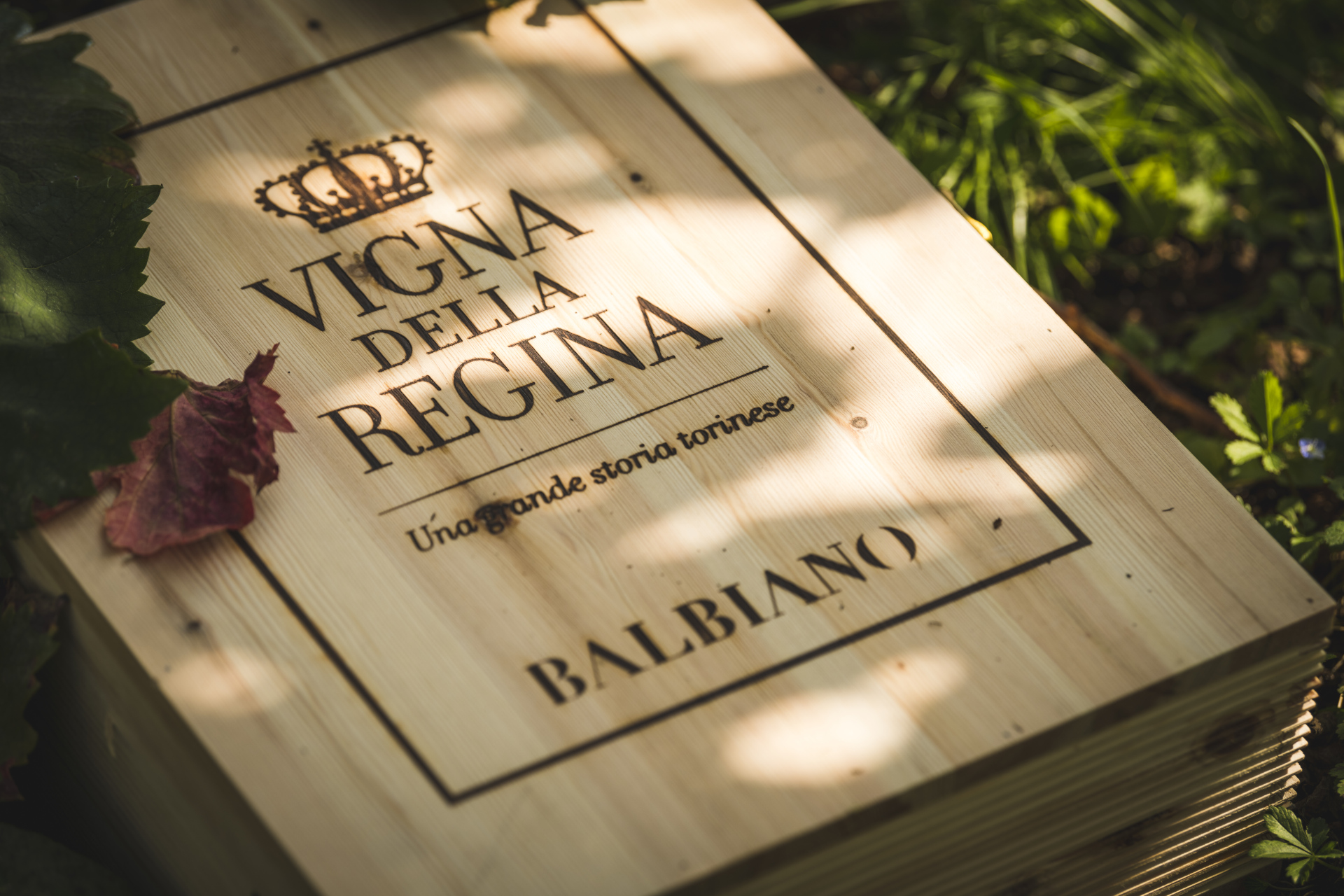 Vigna della Regina Torino